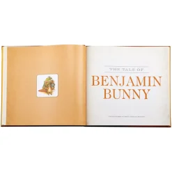 The Classic Tale of Peter Rabbit in Bonded Leather