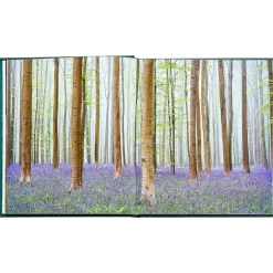 The Hidden Life of Trees Bonded Leather