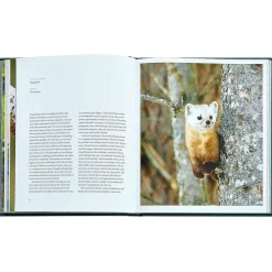 The Hidden Life of Trees Bonded Leather
