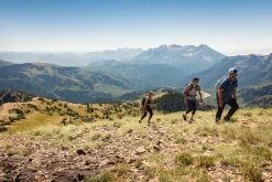 The Lodge at Blue Sky, Luxury 5-Night Stay