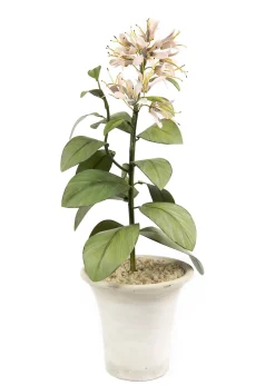 Tole Flower Standard Fressia