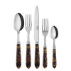 Tortoise Place Setting, Set of 5