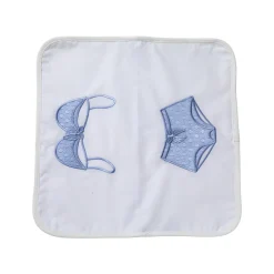 Travel Lingerie Bag, Bra & Undies