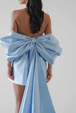 Trifle Dress in Blue
