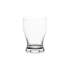 TS1GL Water Tumbler