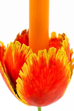 Tulip Candleholders Medium 10