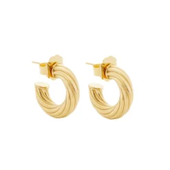 Twister Hoops