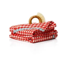 Two-Tone Gingham Towels in Natural & Aqua, Set of 2
