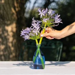 Un Fiore Vase 35