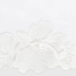 Virginia Collection