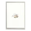 Wedding Bells Cards, Set of 5