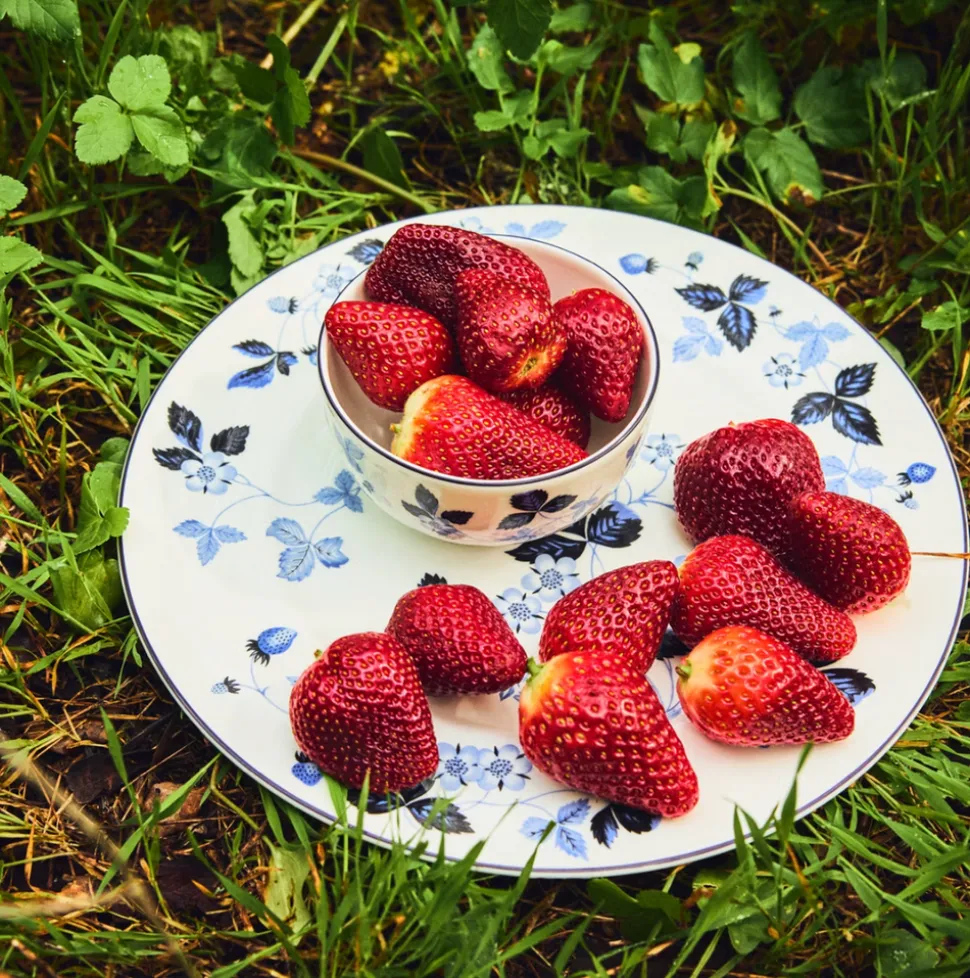 Wild Strawberry Inky Blue Side Plate 8.1in