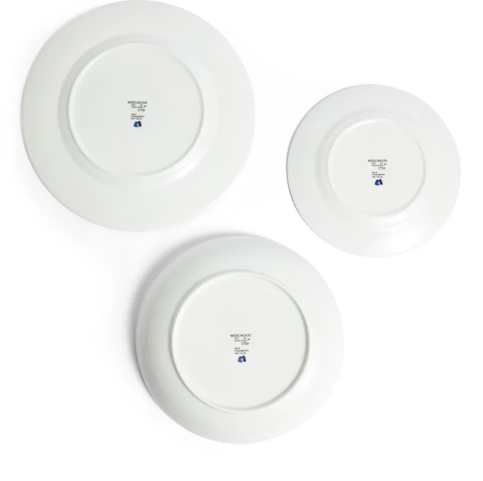 Wild Strawberry Inky Blue Dinnerware, Set of 4