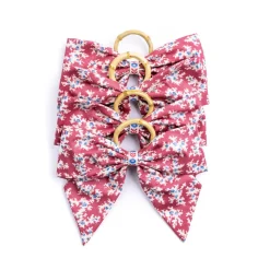 Willow Creek Napkin Rings in Red, Set of 4