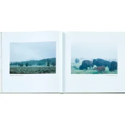 Yellowstone: A Land of Wild and Wonder Bonded Leather